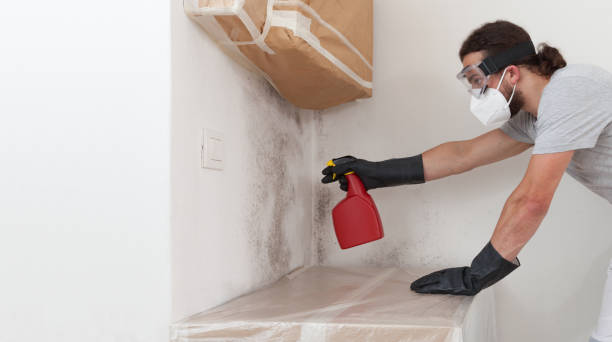 Professional Mold Inspection And Testing technician working in Hudson, MA